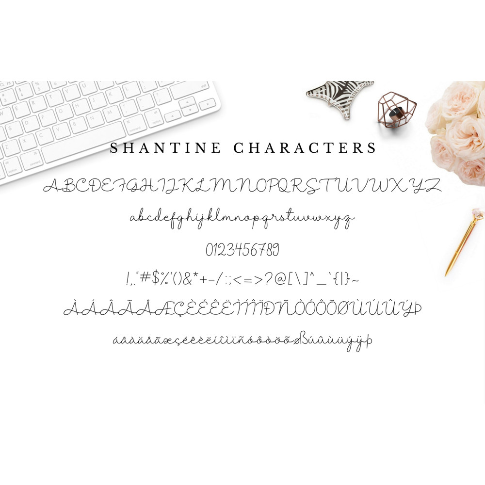 Shantine-prev8-1536x1023.png