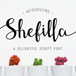 Shefilla – Script Font Trending Fonts - Digital Font