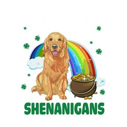 Funny St Patricks Day Full Of Shenanigans PNG Sublimation Designs