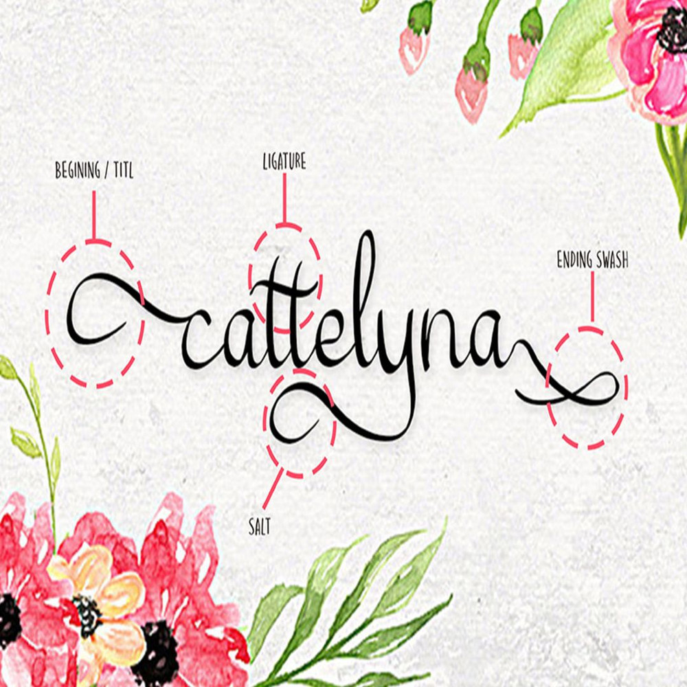 1080x1080 size 2-286-1536x1024.jpg