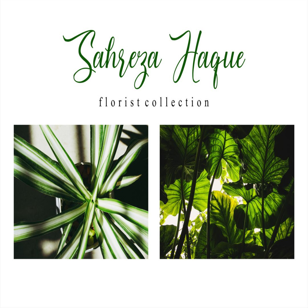 1080x1080 size 5-54-1594x1062.jpg