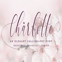 charlotte calligraphy trending fonts - digital font