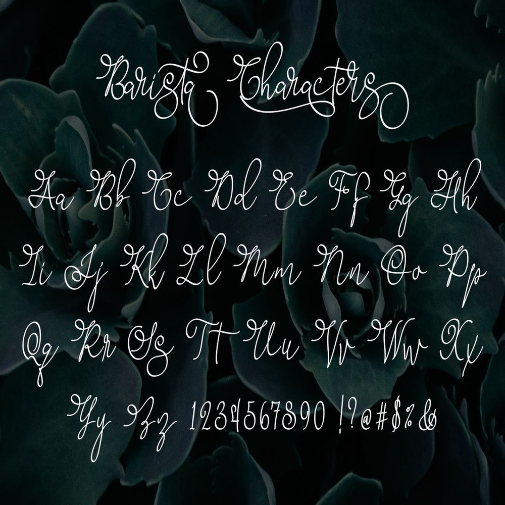 1080x1080 size Barista-Script-Preview-002.jpg