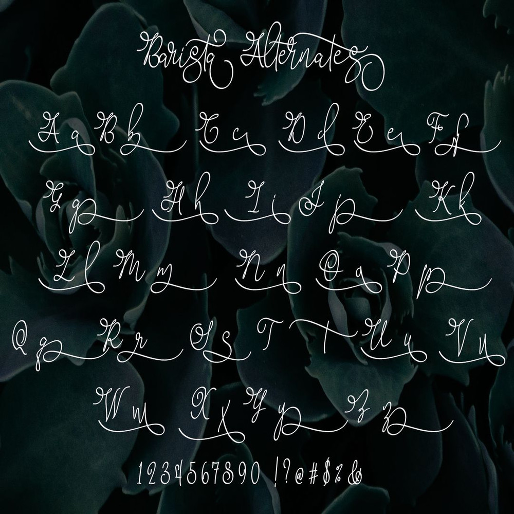 1080x1080 size Barista-Script-Preview-003.jpg