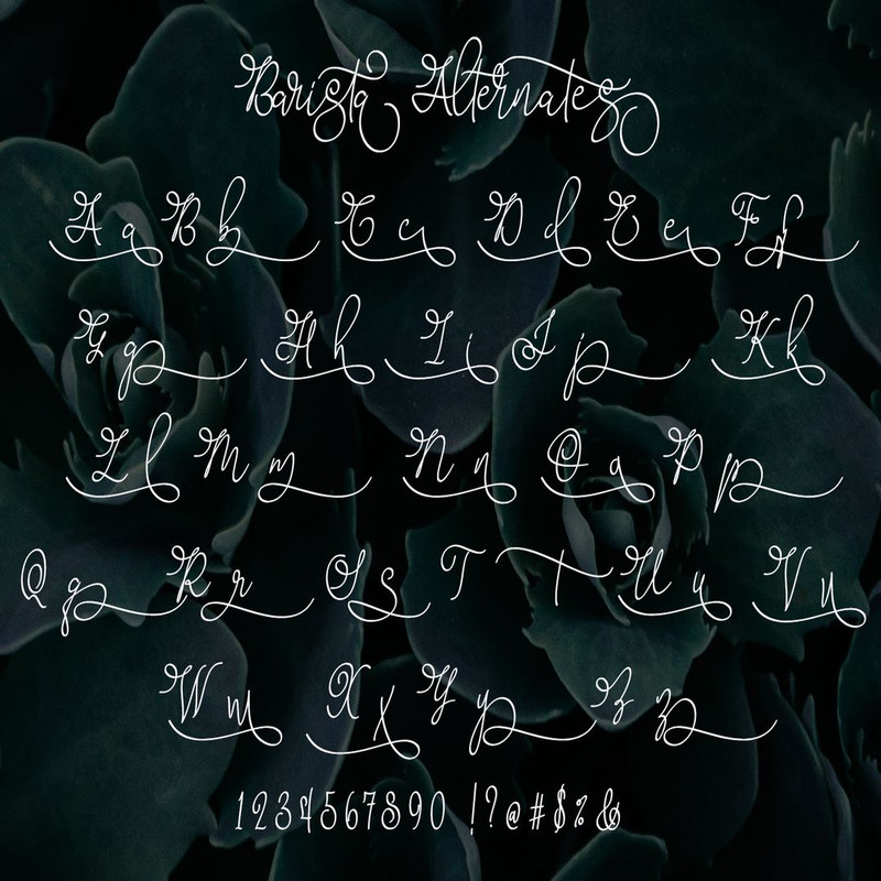 1080x1080 size Barista-Script-Preview-003.jpg