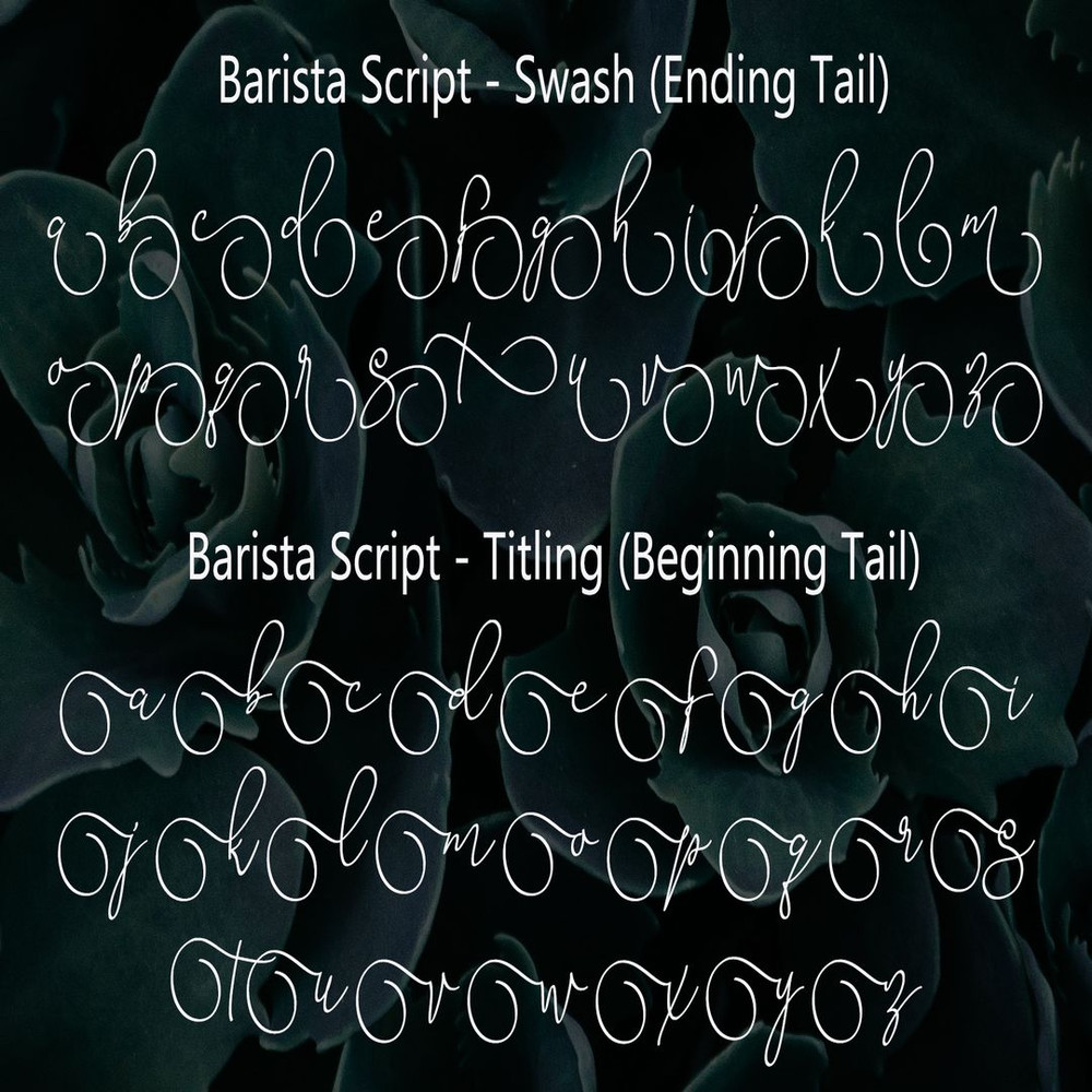 1080x1080 size Barista-Script-Preview-004.jpg