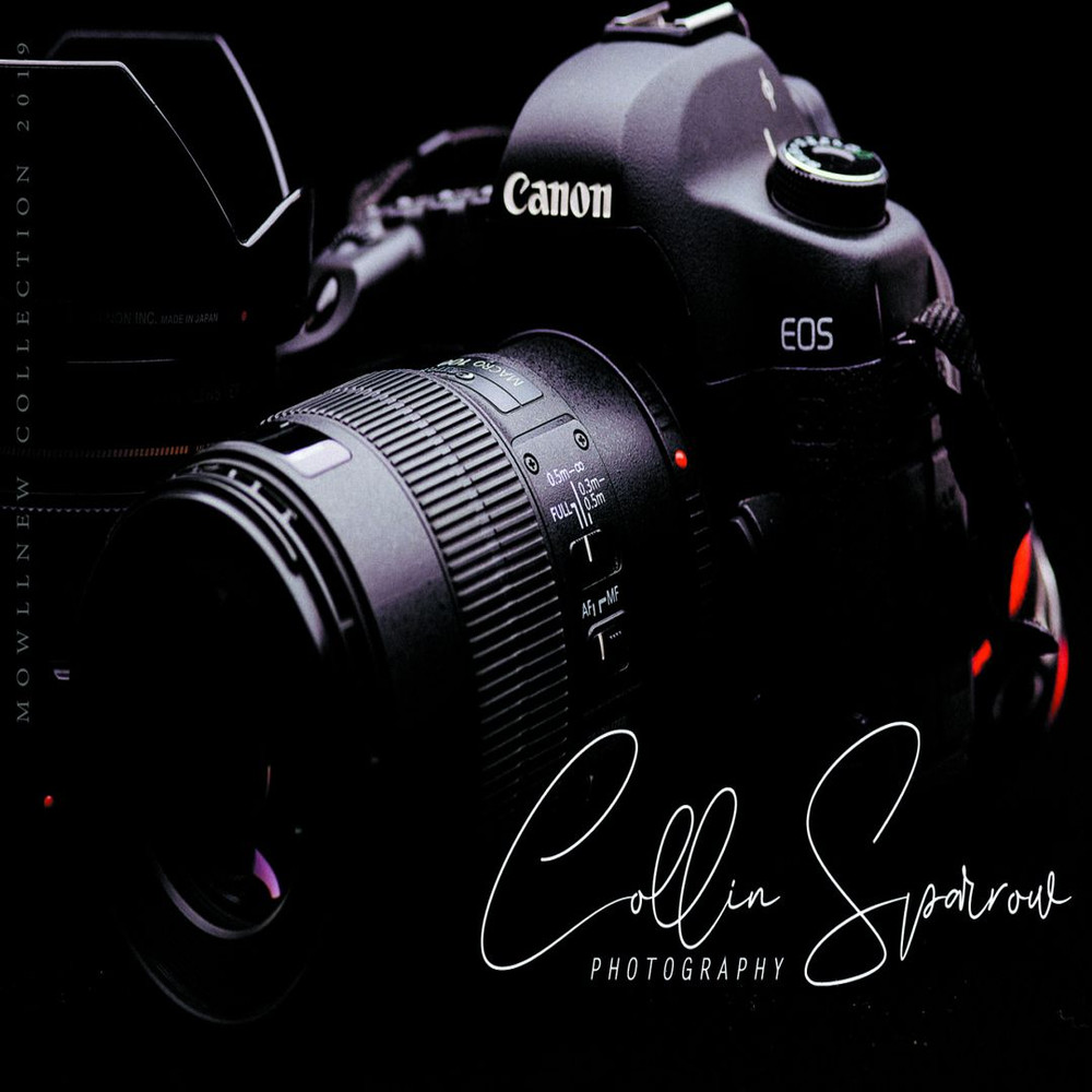 1080x1080 size Mowllnew-02-1594x1062.jpg