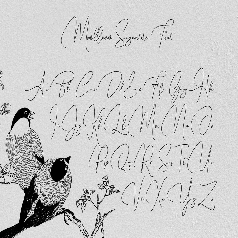 1080x1080 size Mowllnew-05-1594x1062.jpg