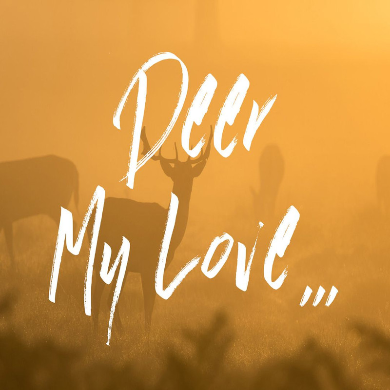 1080x1080 size PREVIEW-Long-Days-04.jpg