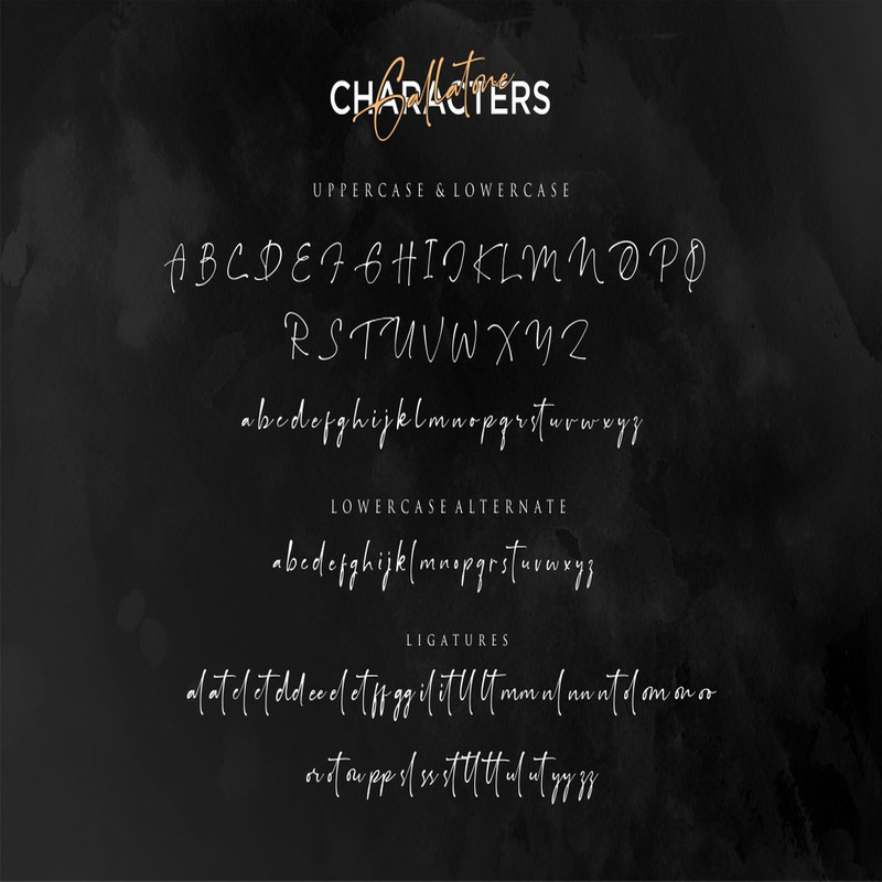 1080x1080 size 937.jpg