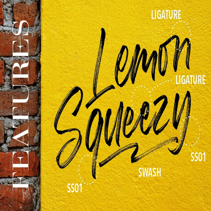 1080x1080 size Misrelly-5.jpg