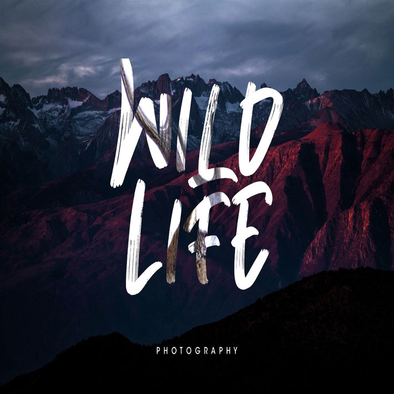 1080x1080 size Breaker-The-Brush-3.jpg