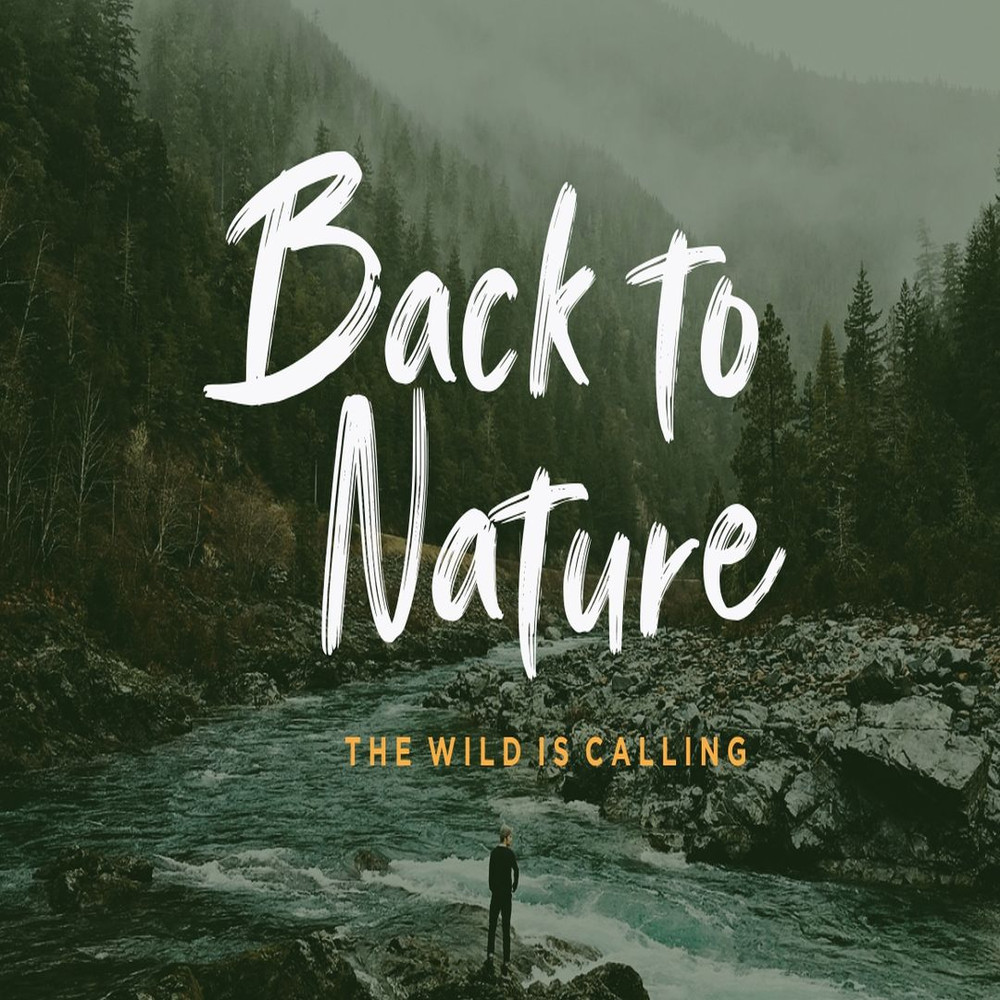 1080x1080 size Ganttlets-5.jpg