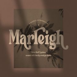 marleigh retro serif trending fonts - digital font