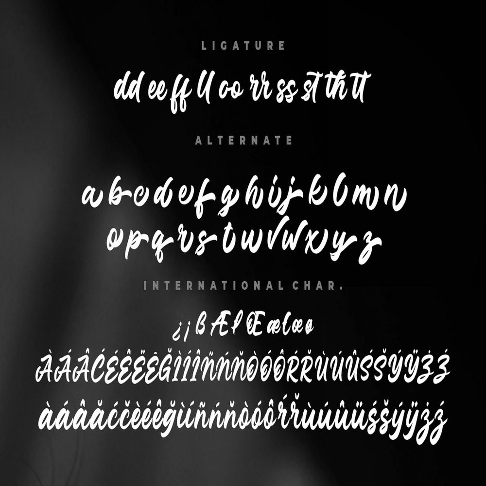 1080x1080 size Junkies-Style-8.jpg