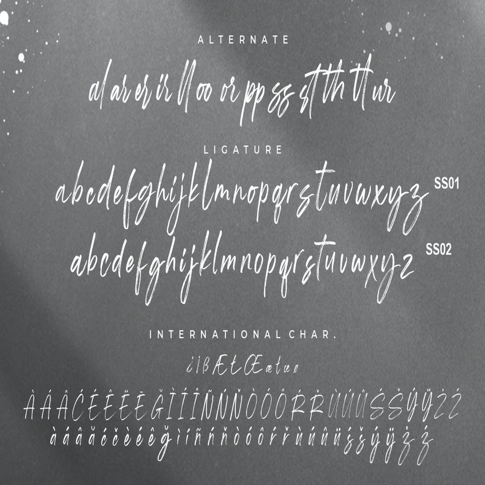 1080x1080 size Shutterland-7.jpg