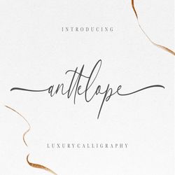 anttelope luxury calligraphy trending fonts - digital font