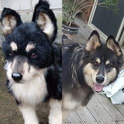 custom pet portrait toy realistic plush dog portrait plush collectible pet toys replica for pets with photo