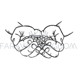 man holding coffee grains sketch vector illustration set