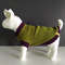Bright-knitted-sweater-for-small-dogs-2