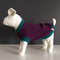 Warm-bright-handmade-dog-sweater-1