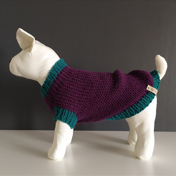 Warm-bright-handmade-dog-sweater-3