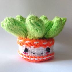 echeveria succulent knit