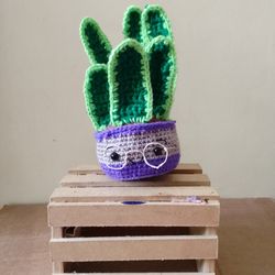 Sansevieria amigurumi