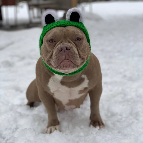 Hat-with-eyes-for-bullies
