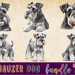 06 files of schnauzer dog clipart animal sublimation best graphic design bundle