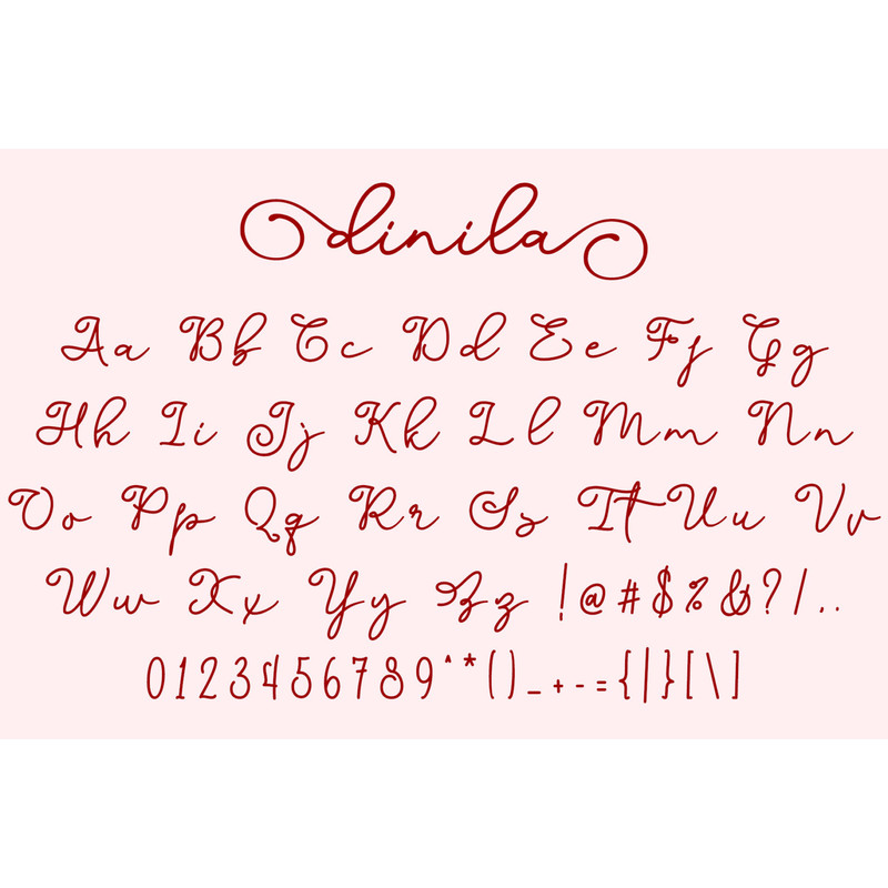 Dinila-Script-Preview-006-1594x1062.jpg