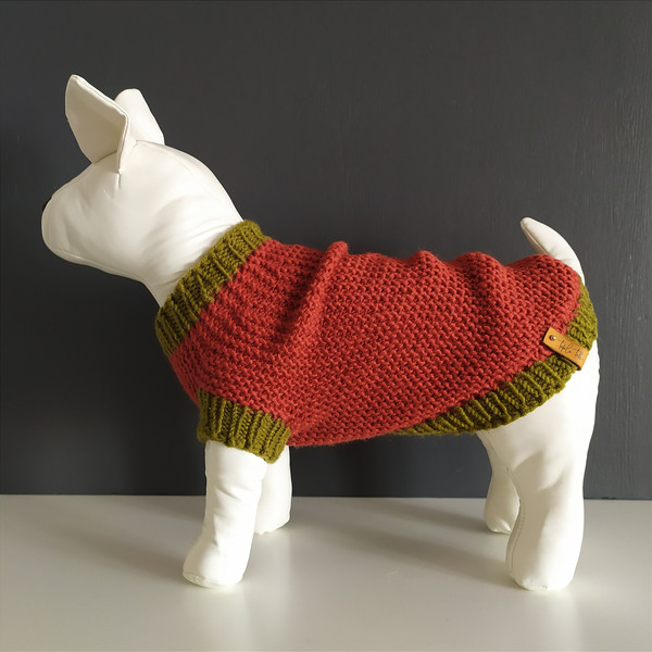 Bright-warm-hand-knitted-dog-sweater-3