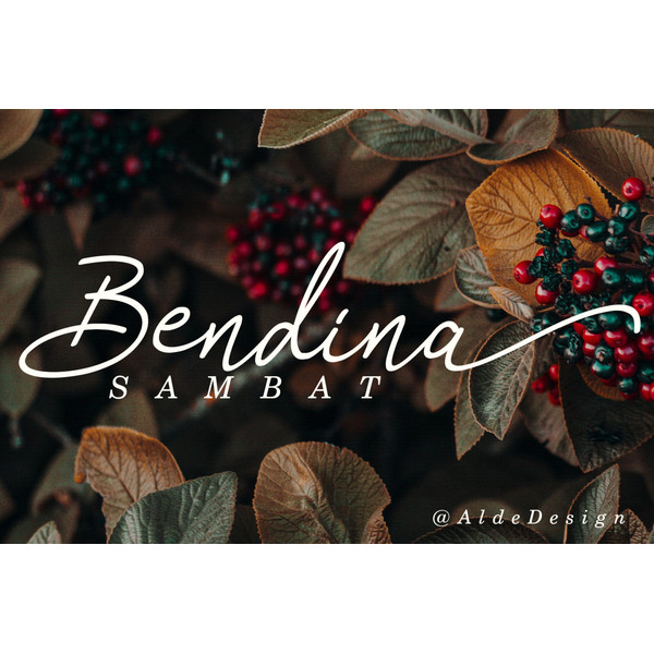 Bendina-Sambat-Preview-001-1594x1062.jpg