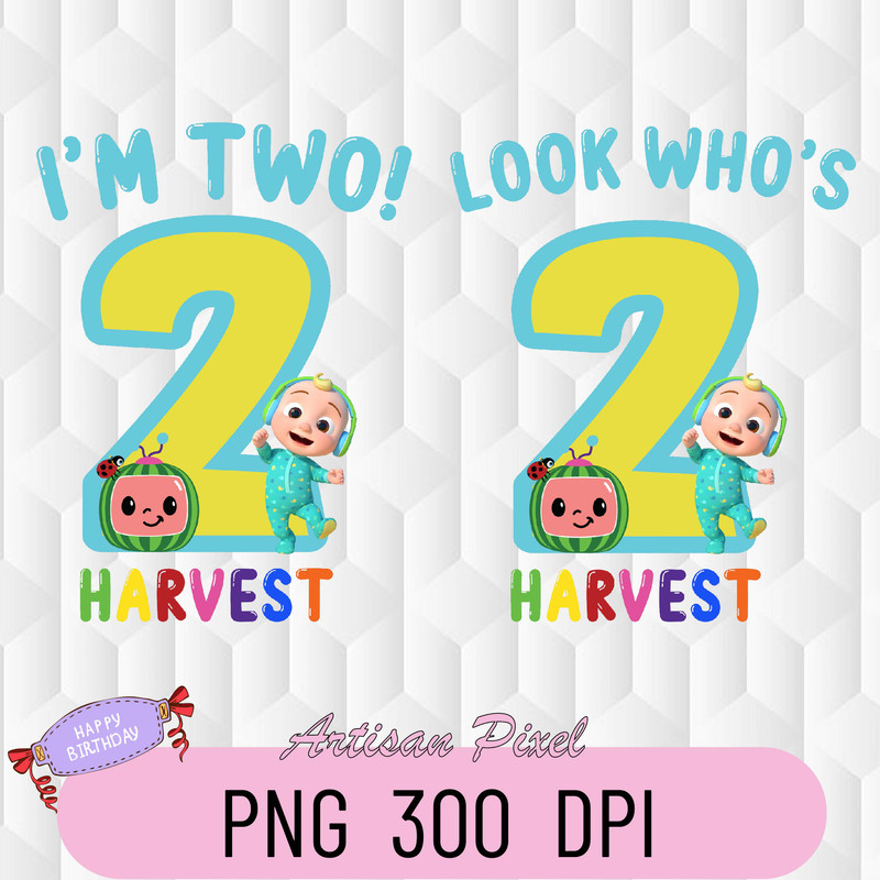 ARTISAN PIXEL-01.jpg