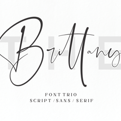 The Brittany / Font Trio Trending Fonts - Digital Font