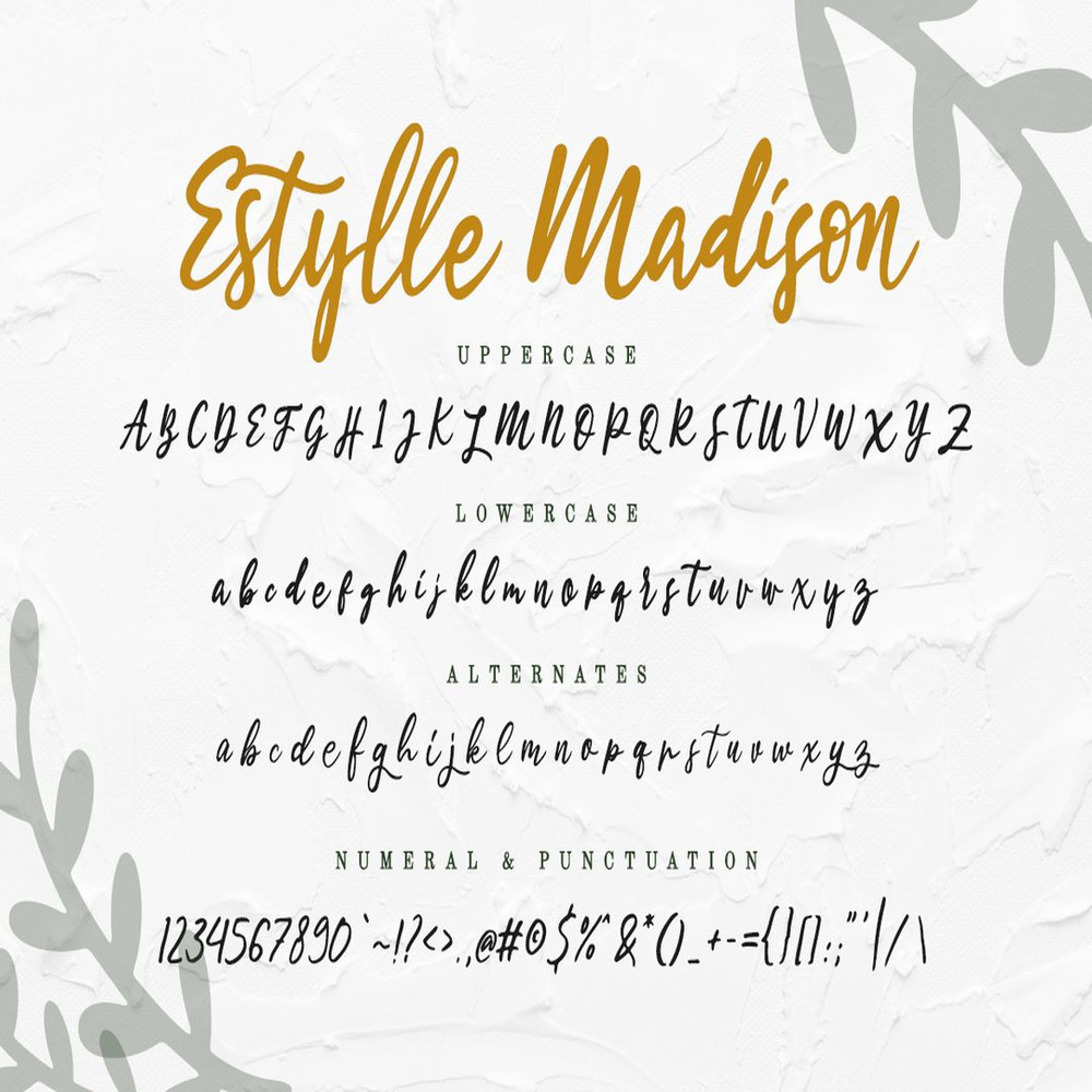 1080x1080 size Estylle-Preview-12.jpg