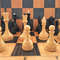 luga_chess_big5.jpg