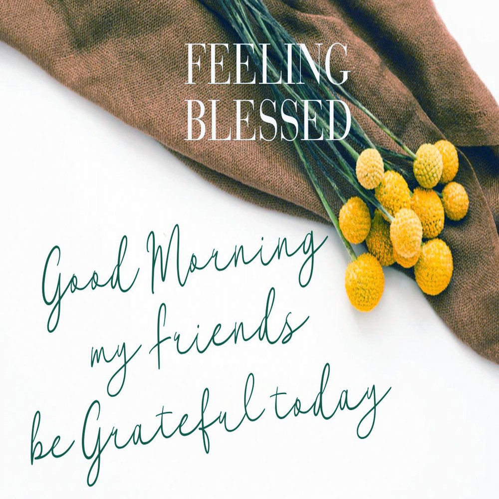 1080x1080 size Ondyne-1.jpg