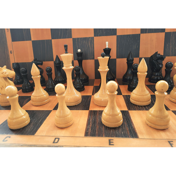 luga_chess_big9+.jpg