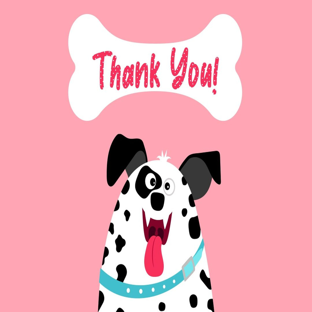 1080x1080 size Dalmaspot-7.jpg