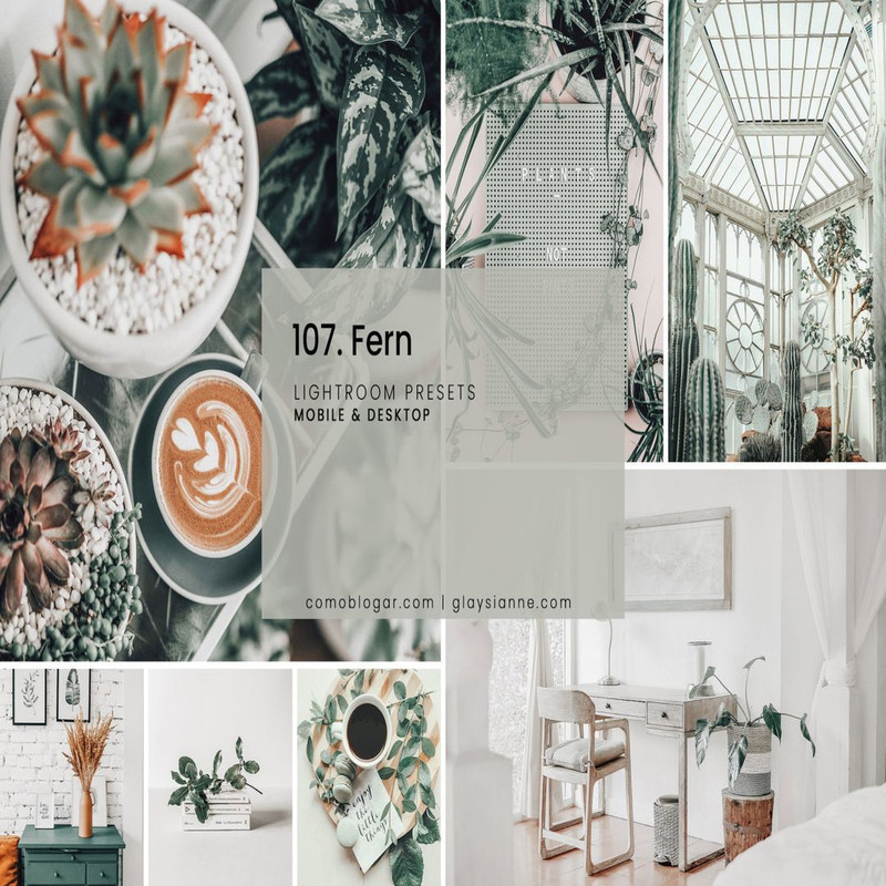 1080x1080 size 107.-Fern_01-1594x1062.jpg