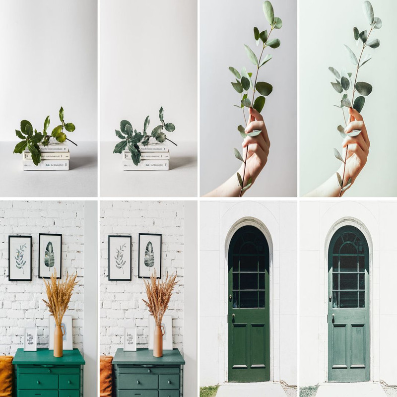 1080x1080 size 107.-Fern_02-1594x1062.jpg