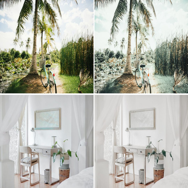 1080x1080 size 107.-Fern_07-1594x1062.jpg