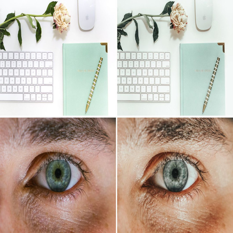 1080x1080 size 107.-Fern_10-1594x1062.jpg