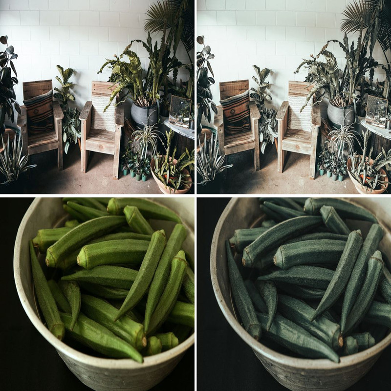 1080x1080 size 107.-Fern_11-1594x1062.jpg