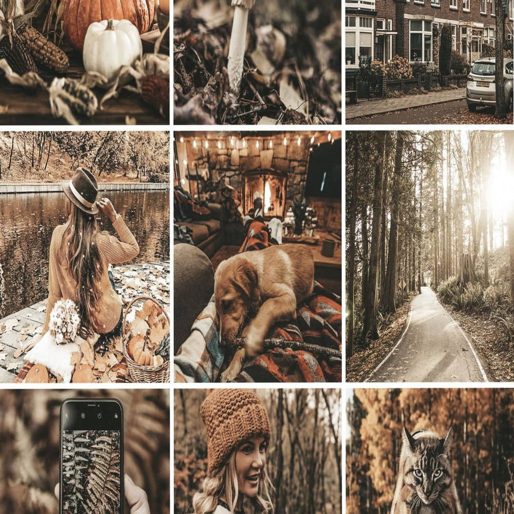 1080x1080 size Fall-Colors-mobile-lightroom-presets-page3-1594x1062.jpg