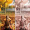 1080x1080 size Fall-Colors-mobile-lightroom-presets-page6-1594x1062.jpg