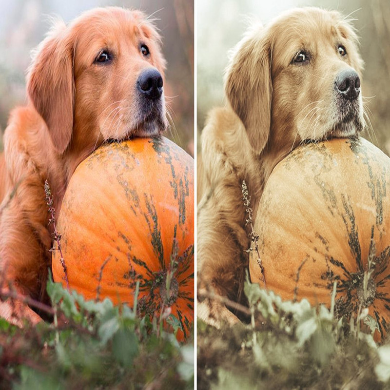 1080x1080 size Fall-Colors-mobile-lightroom-presets-page8-1594x1062.jpg