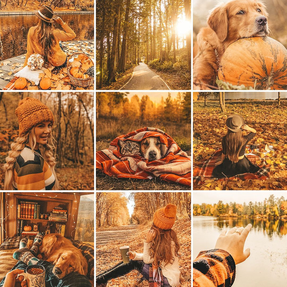 1080x1080 size for-stories-Fall-Colors-1080x1062.jpg