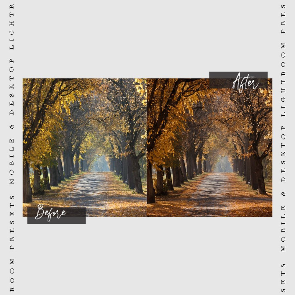 1080x1080 size PRV-UP-08.jpg
